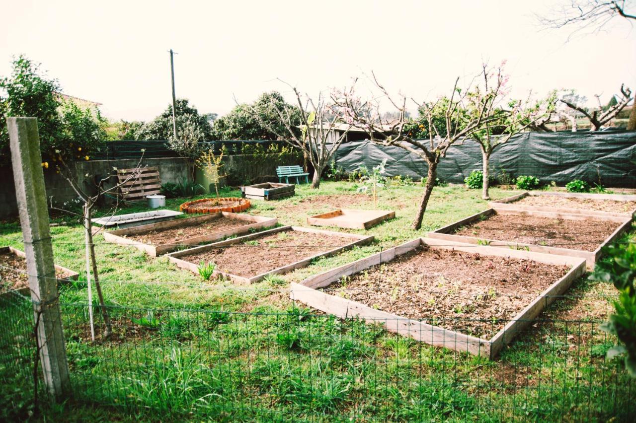 Villa Clementina Barcelos Buitenkant foto